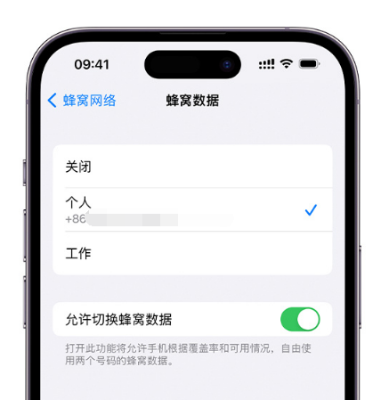 琅琊苹果维修服务分享如何在iPhone上使用双卡 