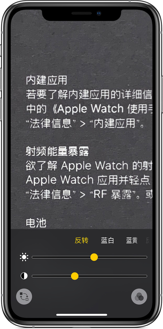 琅琊苹果手机维修分享iPhone 小技巧：使用自带的放大器功能放大文字 